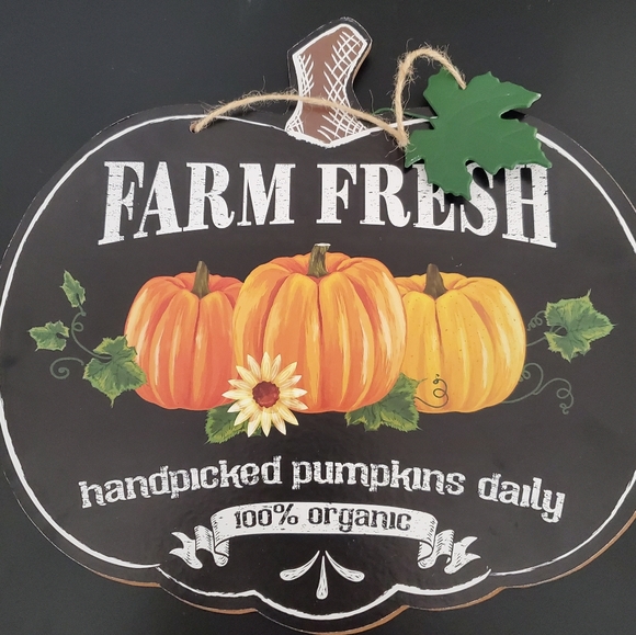 Fall Pumpkin Thanksgiving Decor Signs - Picture 10 of 11